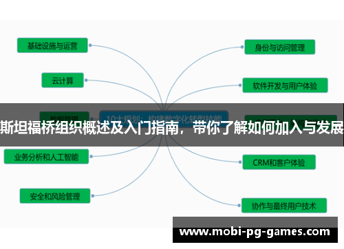 斯坦福桥组织概述及入门指南，带你了解如何加入与发展