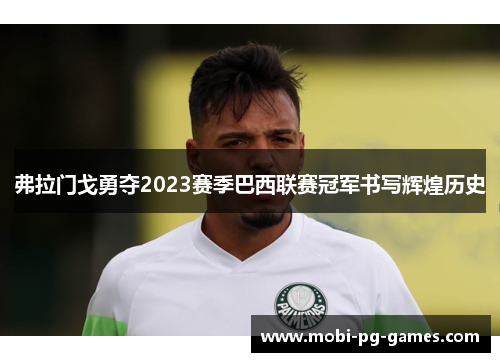 弗拉门戈勇夺2023赛季巴西联赛冠军书写辉煌历史 弗拉门戈勇夺2023赛季巴西联赛冠军书写辉煌历史