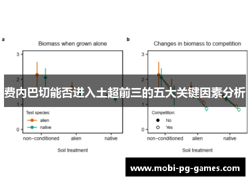 费内巴切能否进入土超前三的五大关键因素分析